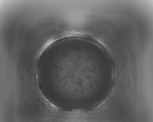 X0000054391455200508051635