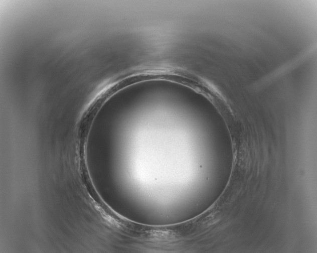 X0000054391456200508051635