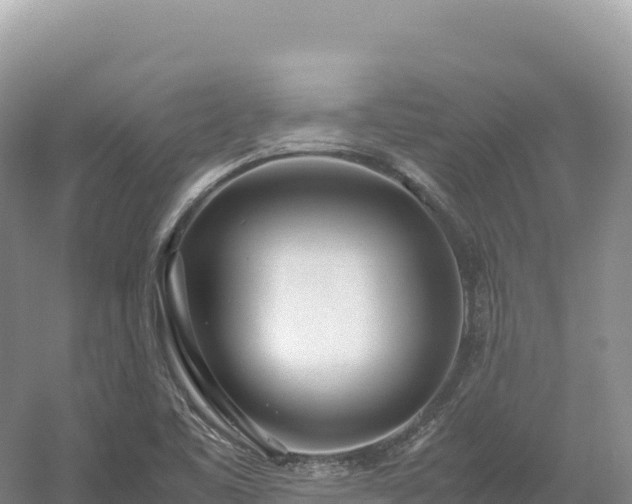 X0000054391461200508051635