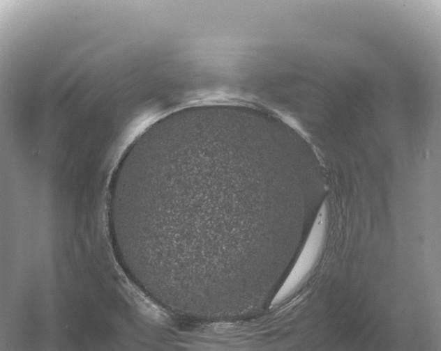 X0000054391463200508051635