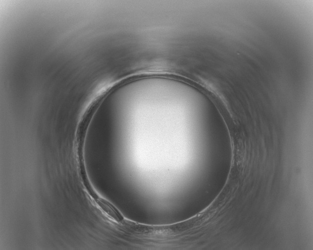 X0000054391464200508051635