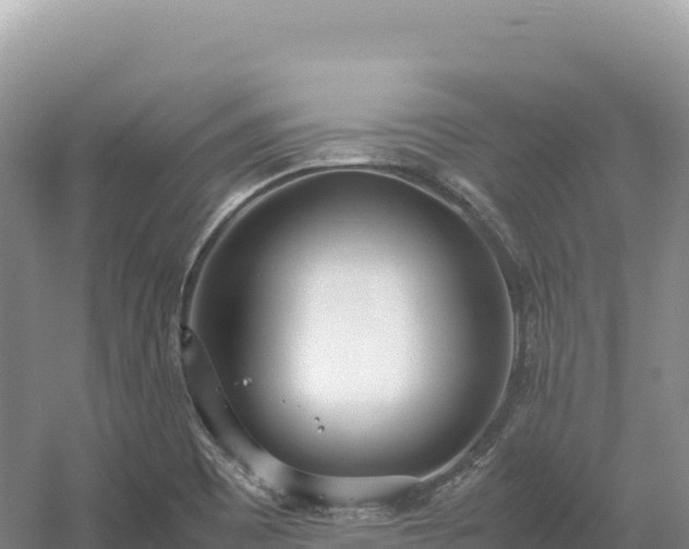 X0000054391465200508051635