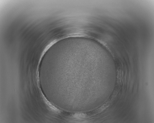 X0000054391466200508051635