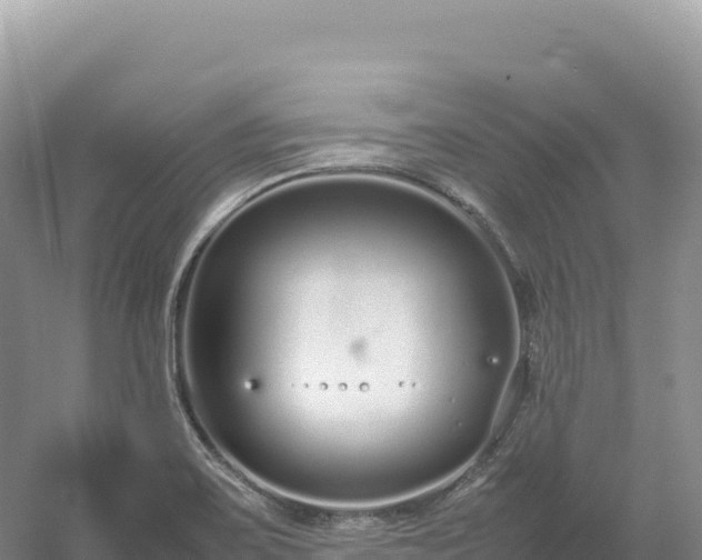 X0000054391467200508051635