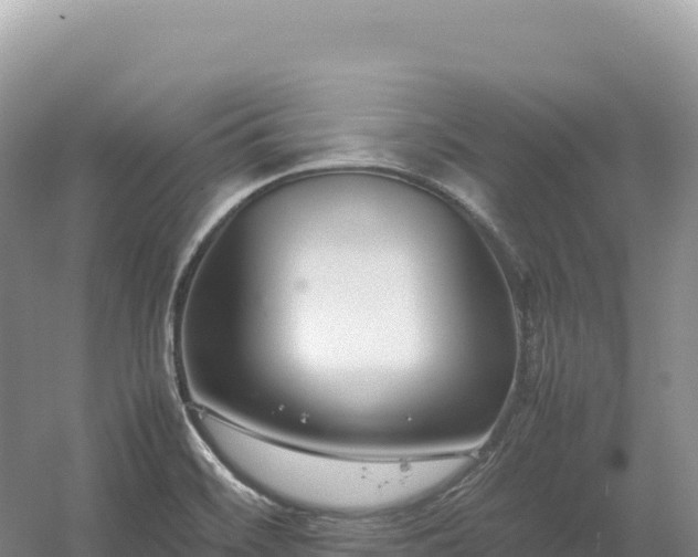 X0000054391468200508051635