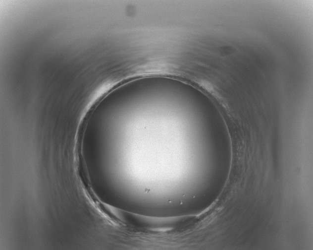 X0000054391469200508051635