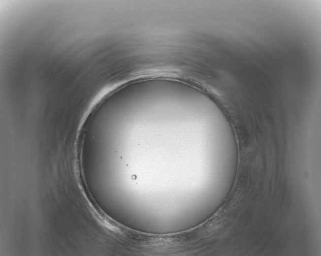 X0000054391470200508051635