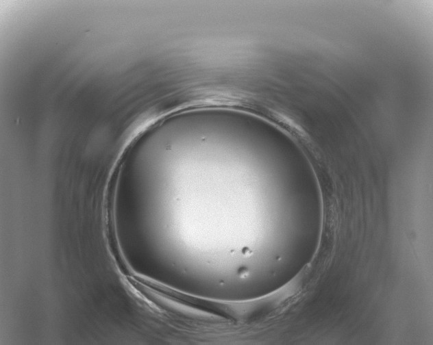 X0000054391471200508051635