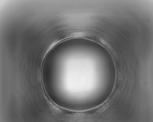 X0000054391473200508051634