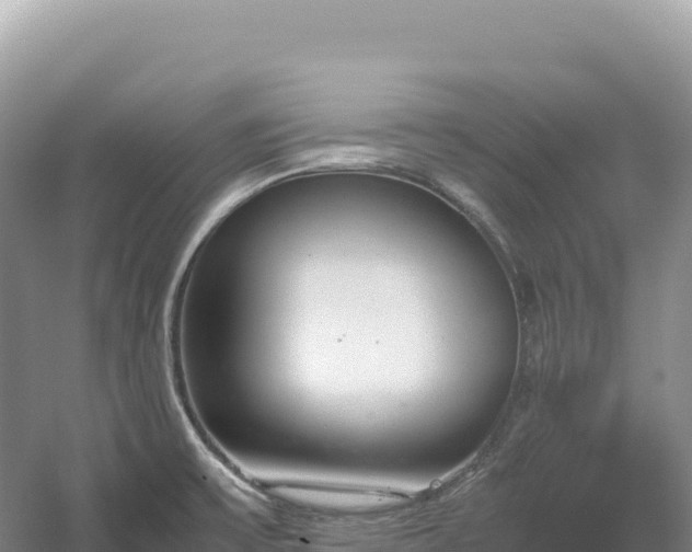 X0000054391475200508051634