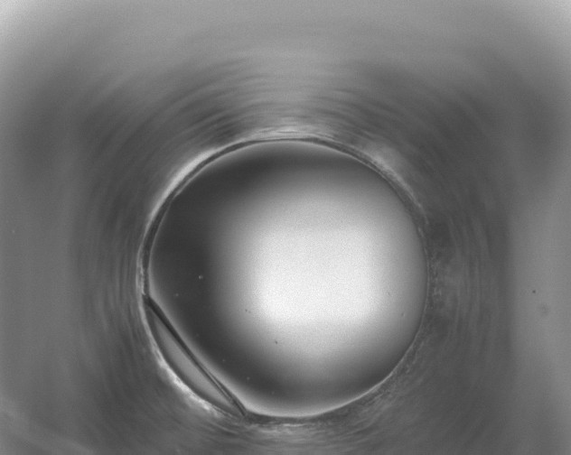 X0000054391476200508051634