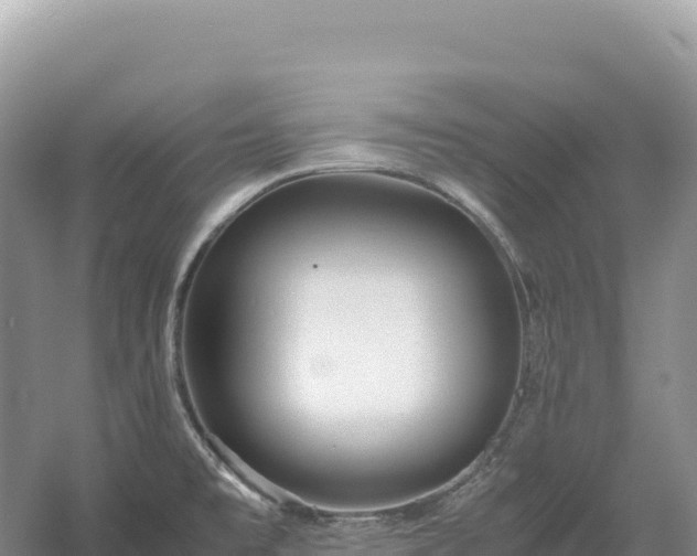 X0000054391477200508051634