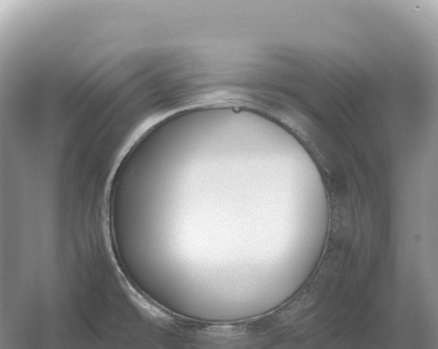 X0000054391478200508051634