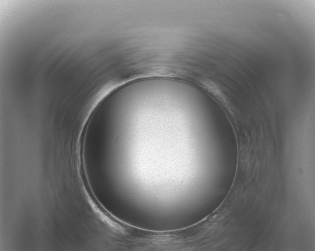 X0000054391479200508051634