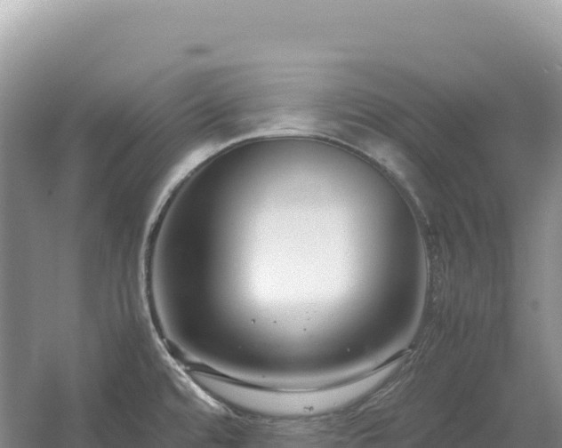 X0000054391480200508051634