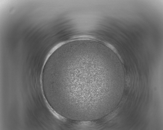 X0000054391482200508051634