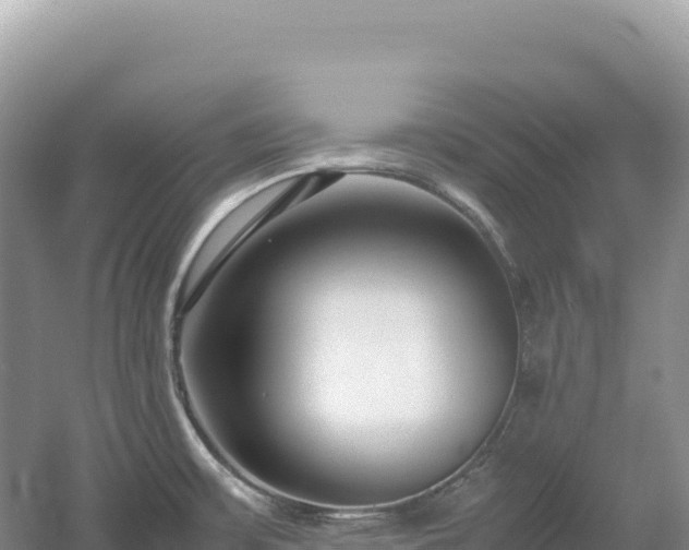 X0000054391483200508051634