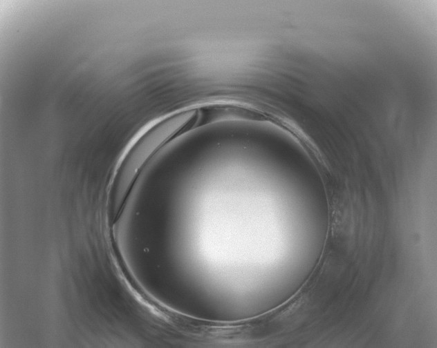 X0000054391484200508051634