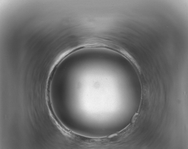 X0000054391485200508051634