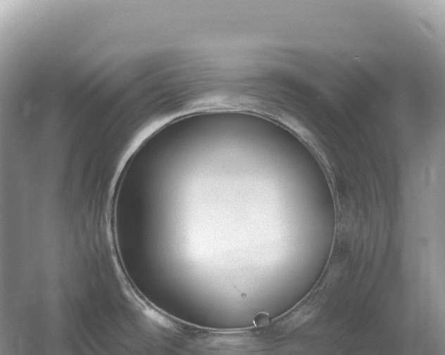 X0000054391486200508051634