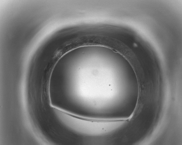 X0000054391487200508051634