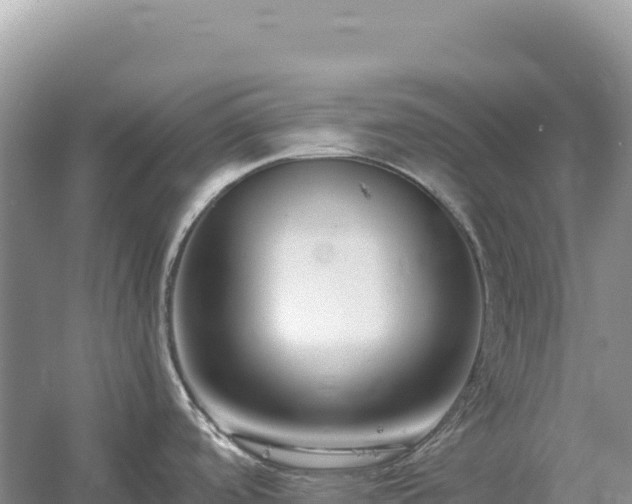 X0000054391488200508051634