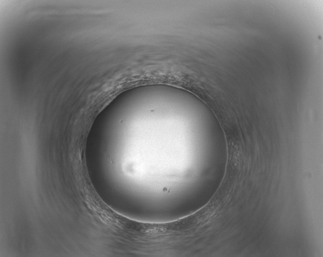 X0000054391489200508051633