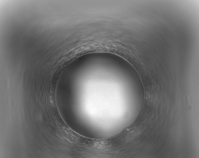 X0000054391490200508051633