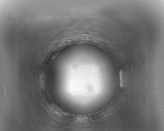 X0000054391491200508051633