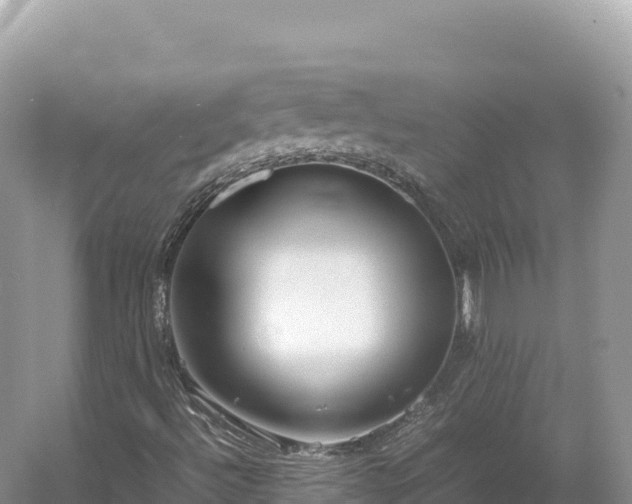 X0000054391492200508051633