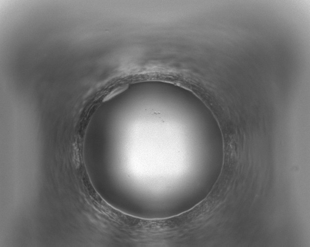 X0000054391493200508051633