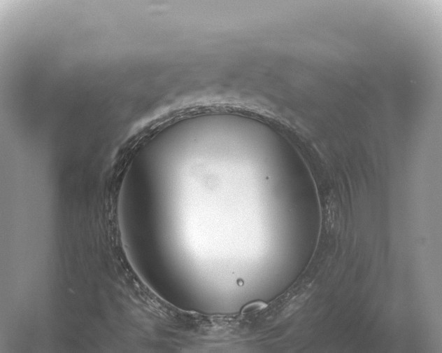 X0000054391494200508051634