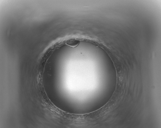 X0000054391495200508051634