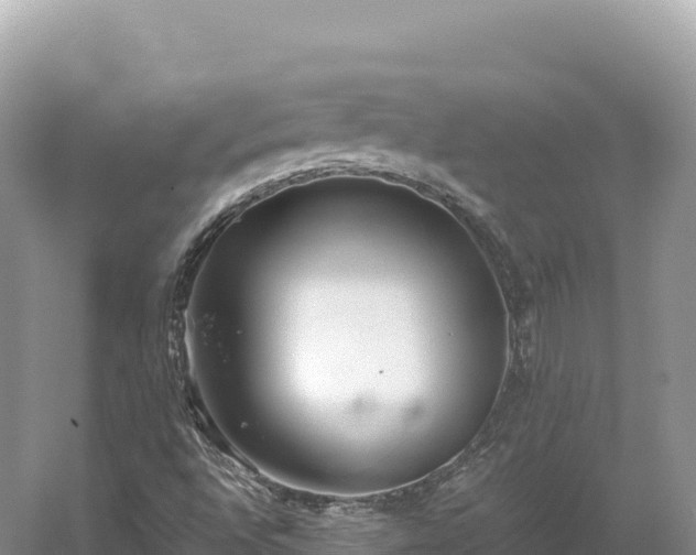 X0000054391496200508051634