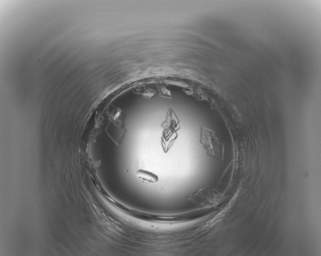 X0000054391497200508051634