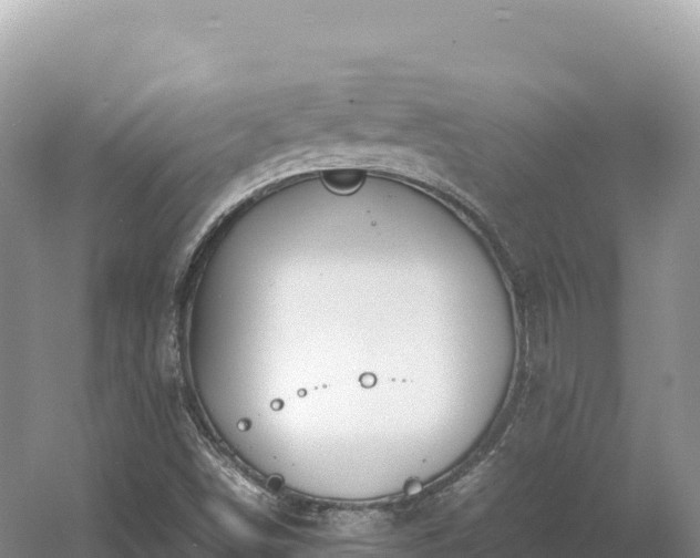 X0000054391498200508051634