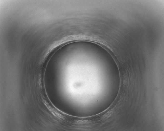 X0000054391499200508051634