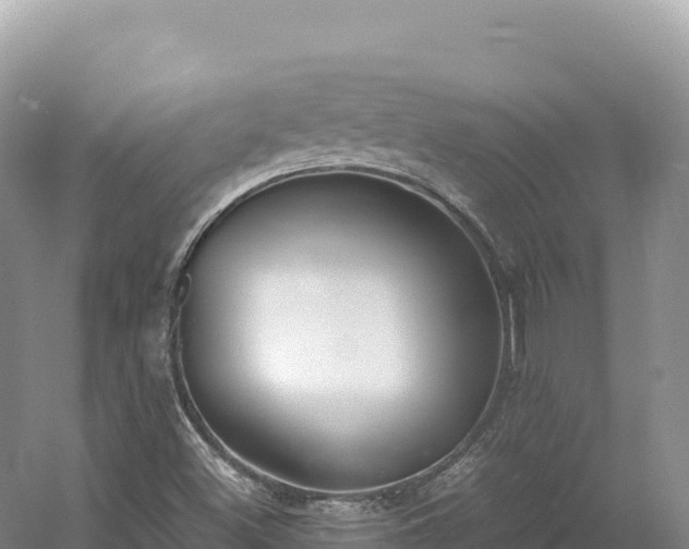 X0000054391500200508051634