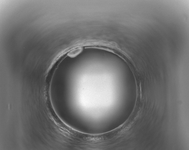 X0000054391501200508051634