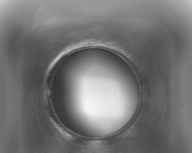 X0000054391502200508051634