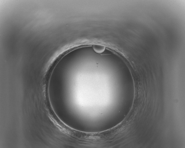 X0000054391503200508051634