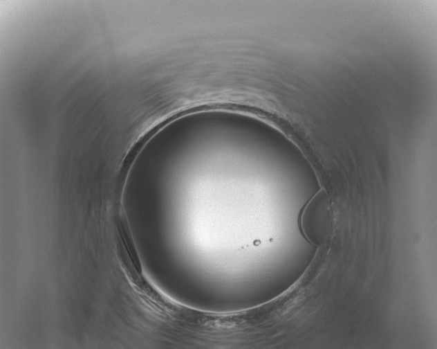 X0000054391505200508051634