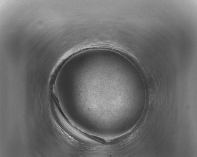 X0000054391506200508051634