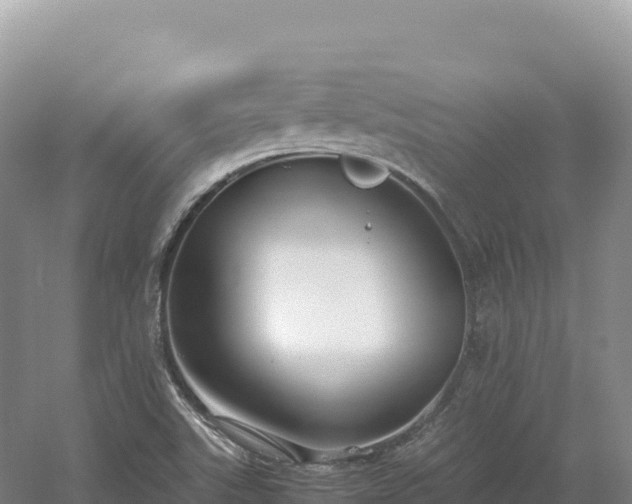 X0000054391507200508051634