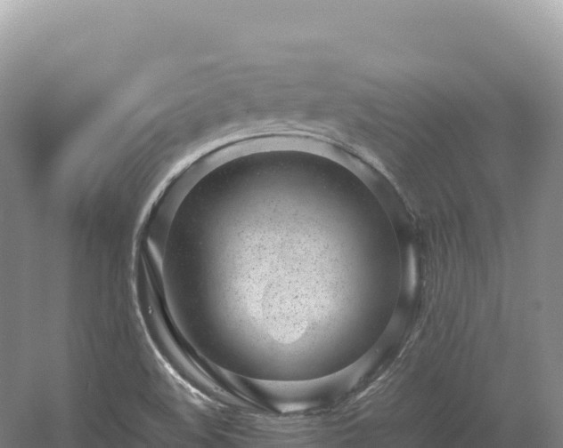 X0000054391508200508051634