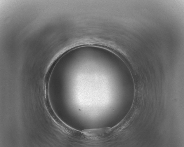 X0000054391509200508051634