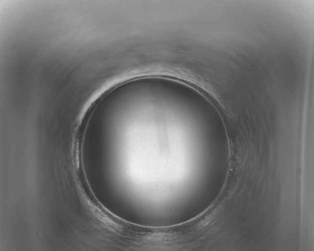 X0000054391510200508051634