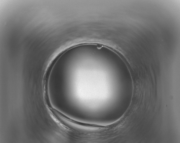 X0000054391511200508051634