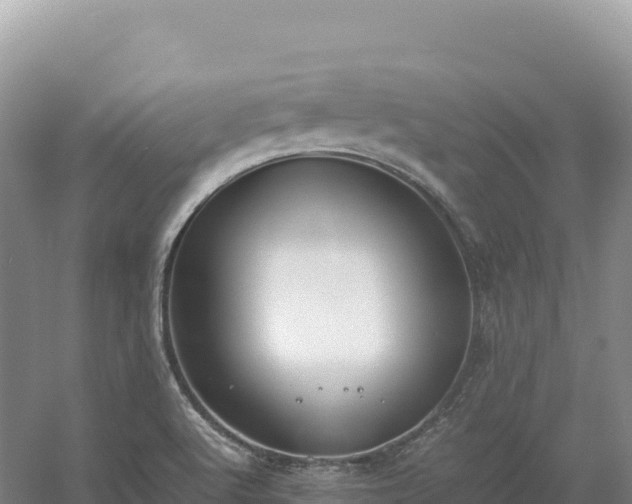 X0000054391512200508051634