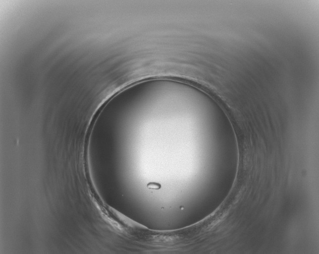 X0000054391513200508051634